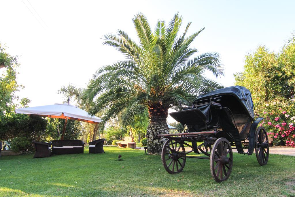 Le Colline Del Gelso-Masseria Mazzei Rossano Ngoại thất bức ảnh